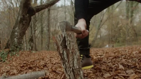 Close-up guy chopping wood Stock Footage 317214978