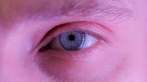Close up of hacker eyes in macro looking at computer screen in darkness neon Stock Footage 124231442