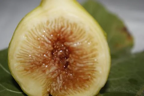 Close-up half fig with the leaf of a fig plant. Stock Photos