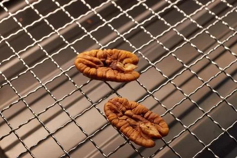 Close-up of a half pecan kernel on a metal grill mesh, natural texture and li Stock Photos
