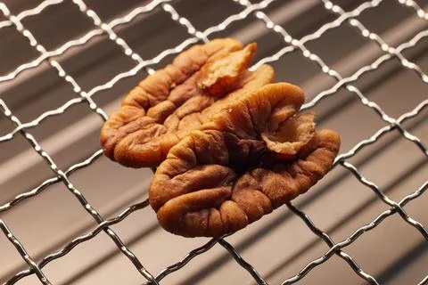Close-up of a half pecan kernel on a metal grill mesh, natural texture and li Stock Photos