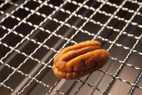 Close-up of a half pecan kernel on a metal grill mesh, natural texture and li Stock Photos