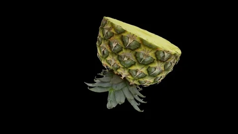 Close up of half pineaple rotating seamless loop against black 스톡 동영상 108900795