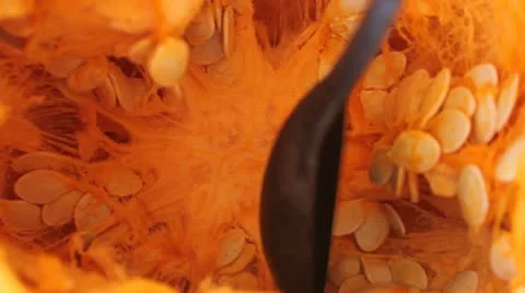 Close up of Halloween pumpkin being cleaned out. Stock Footage 12358902