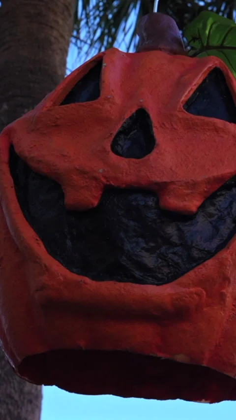 Close-up of Halloween Pumpkin Lantern in Vertical Format Stock Footage 319808103