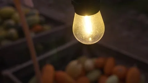 Close up of halloween pumpkin patch lightbulb swinging Stock-Footage 347202320