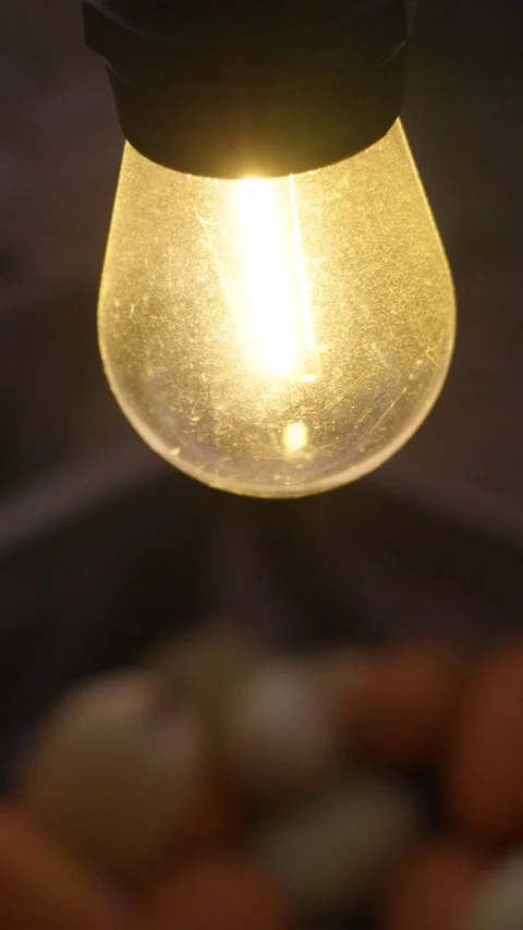 Close up of halloween pumpkin patch lightbulb swinging Stock-Footage 347321152