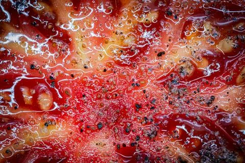 Close-up of a halved red tomato with visible seeds Stock Photos