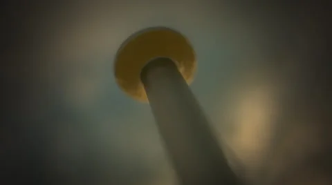 Close-up Of Hammer Hitting On Nail Stock Footage 42106347