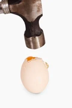 Close-up of a hammer over a broken egg Fotos Stock