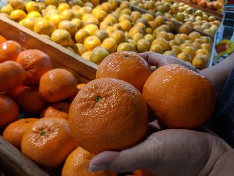 Close up Hand and Oranges in market.mandarin oranges raw Fruit,Fresh mandarin Stock Photos