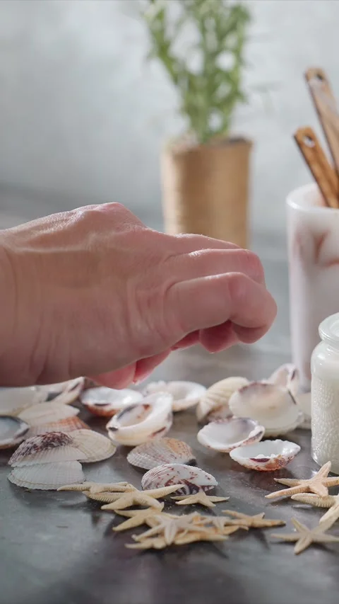 Close up of hand arranging seashells and starfish on smooth surface with soft Stock Footage 344680948
