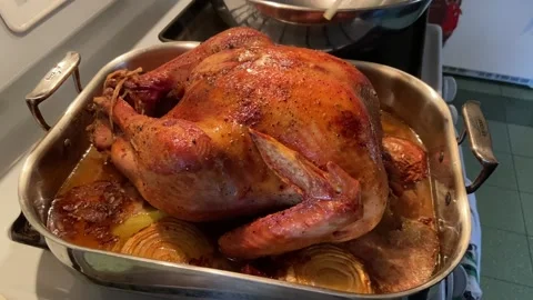 Close-up of a hand basting an oven cooked roast turkey in the pan Stock Footage 222968151
