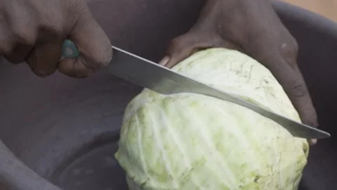 Close up of hand cutting cabbage vegetable. Stock Footage 319299716