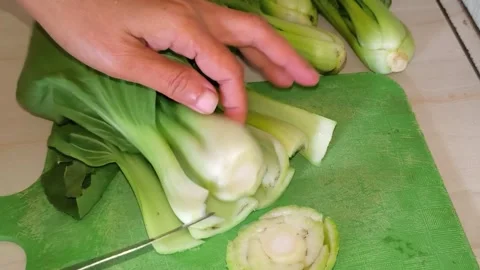 Close-up of hand cutting fresh green bok choy  Stock Footage 324623391