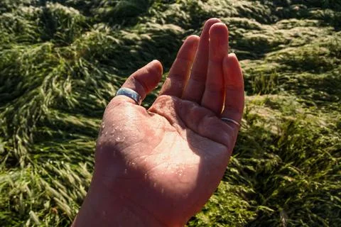 Close up hand with dew drops concept photo Stock Photos