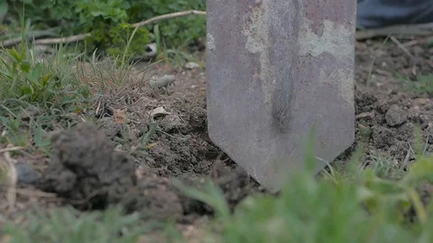 Close-up of a hand digging a hole for seedlings in the garden Vídeos de archivo 128441353
