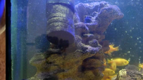 Close up of a hand disassembling a fish tank Stock Footage 243836852