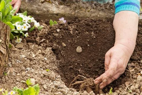 Close up of a hand in the earth 库存照片