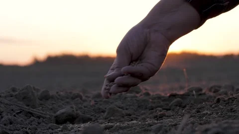 Close Up Hand Of Farmer Carefully Pour Plant Seeds Into Soil For Planting 스톡 동영상 252571359