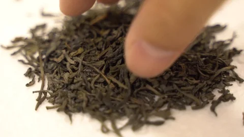 Close up hand fingers picking tea leaves Stock Footage 110897555