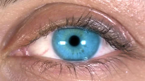 A close up of a hand 스톡 동영상 156847981