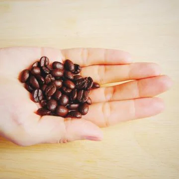 Close up of a hand full of coffee beans with retro filter effect Foto stock
