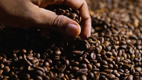 Close up of a hand gently touching and inspecting freshly roasted brown coffee Stock Footage 347973371