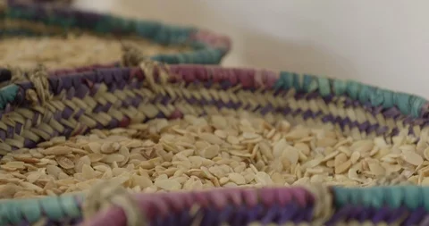 Close up of hand going through heaps of argan seeds Stock Footage 105028617