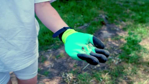 Close up of hand in green glove picking up dirty plastic bottle Stock Footage 340463658