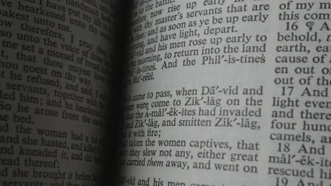 Close-up of hand held book flipped through Stock Footage 146935642