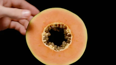 Close-Up of Hand Holding and Examining Round Slice of Papaya with Green Skin 스톡 동영상 313231195