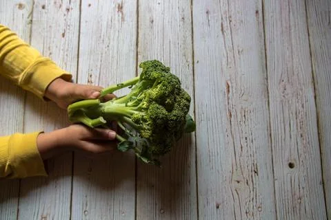 Close up of a hand holding broccoli Stock Photos