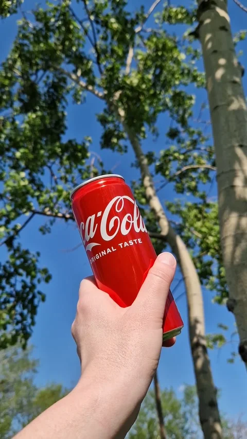 Close-up of a hand holding a can of Coca-Cola Stock Footage 336201146