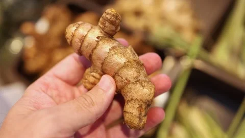 Close up of a hand holding a fresh ginger root in a supermarket. Stock Footage 331517132