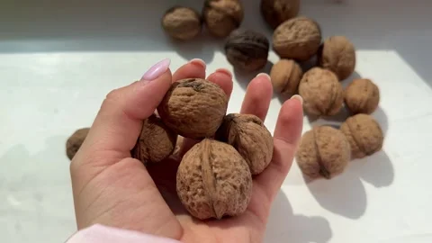 Close-up of hand holding fresh walnuts showing detail of texture and natural Stock Footage 317722934