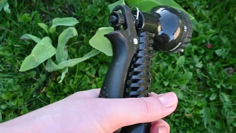 Close-up of a hand holding a garden hose above freshly watered grass Stock Footage 307588916