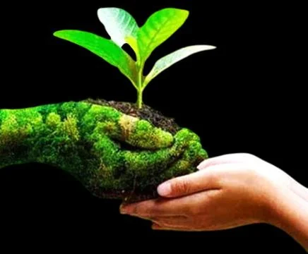 A close-up of a hand holding a green object. Foto stock