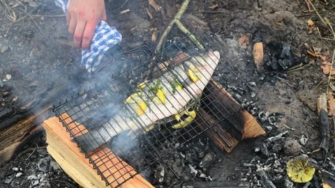 Close up of a hand holding a grill grate with fish over hot campfire coals. Vidéo 334681010