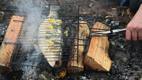 Close up of a hand holding a grill grate with fish over hot campfire coals. Stockbeeldmateriaal 334681015