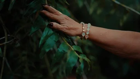 Close-up of a hand holding a leaf Photos