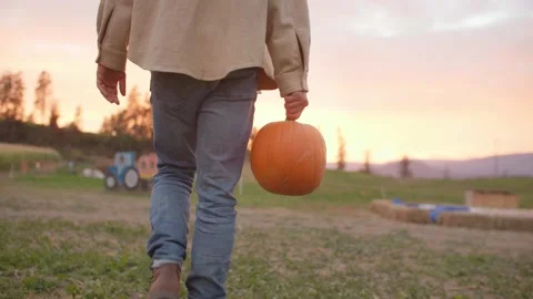 Close up of hand holding pumpkin, walking through field, golden hour 库存影片 219405390