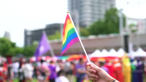 Close up hand holding rainbow flag raise up for freedom with LGBT pride month. Video stock 276730103