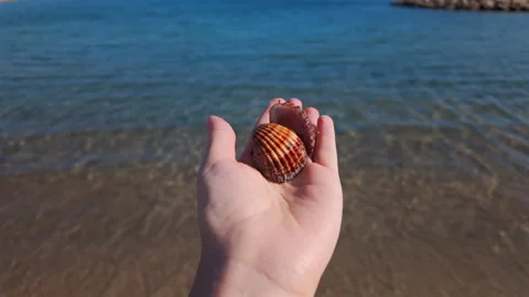 Close up of a hand holding a seashell against a clear blue sea background Stock Footage 320435285