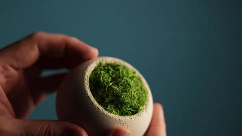 Close-up of hand holding a small concrete pot with vibrant green moss Stock Footage 340265809