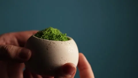 Close-up of a hand holding a small, round planter with vibrant green moss Stock Footage 340265766
