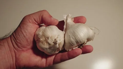 Close-up of Hand Holding Two Whole Heads of Garlic Stock Footage 319497130