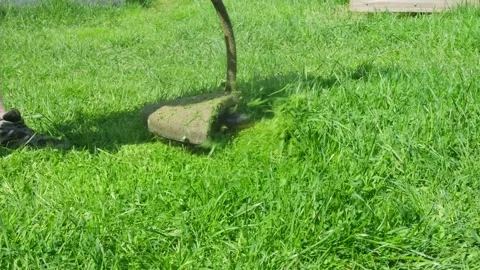 Close-up hand lawn mower mows bright fresh green grass. Stock Footage 154657446