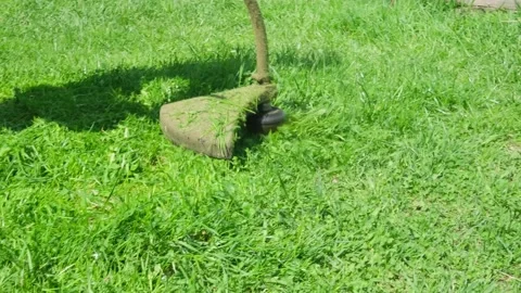 Close-up hand lawn mower mows bright fresh green grass. Stock Footage 154657471