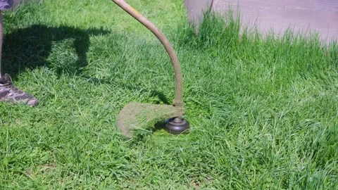 Close-up hand lawn mower mows bright fresh green grass. Stock Footage 154657478